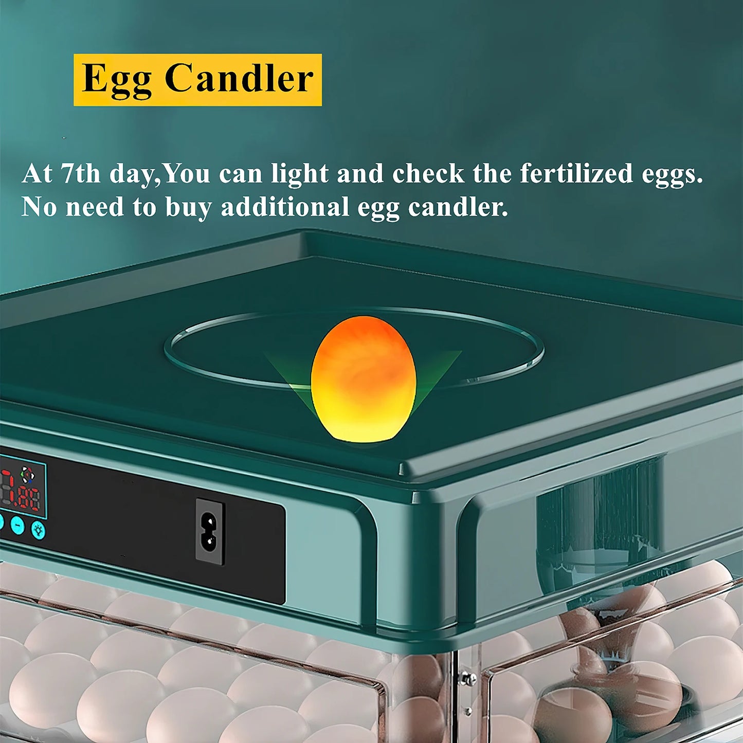 Automatic Egg Incubator 24 To 60 Eggs For Poultry Hatching