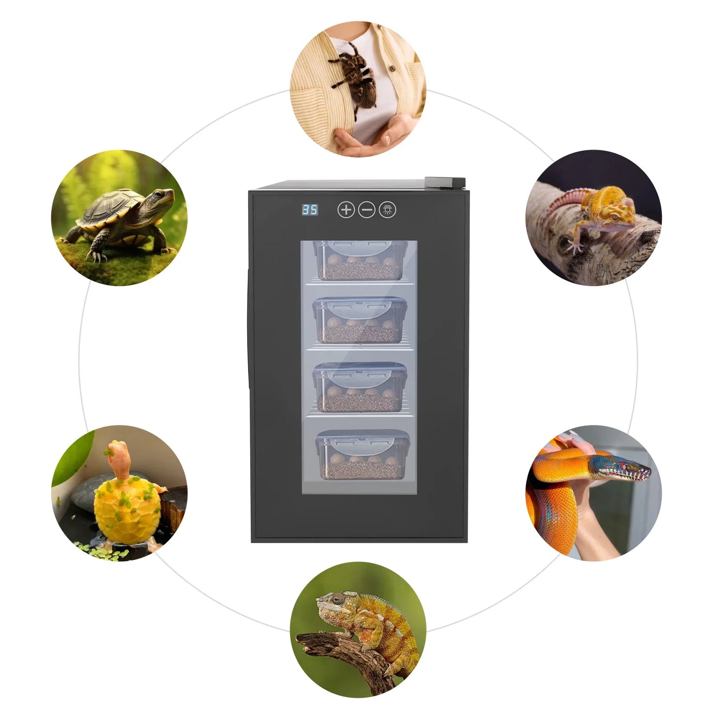 Reptile Incubator With Adjustable Temperature Humidity Control