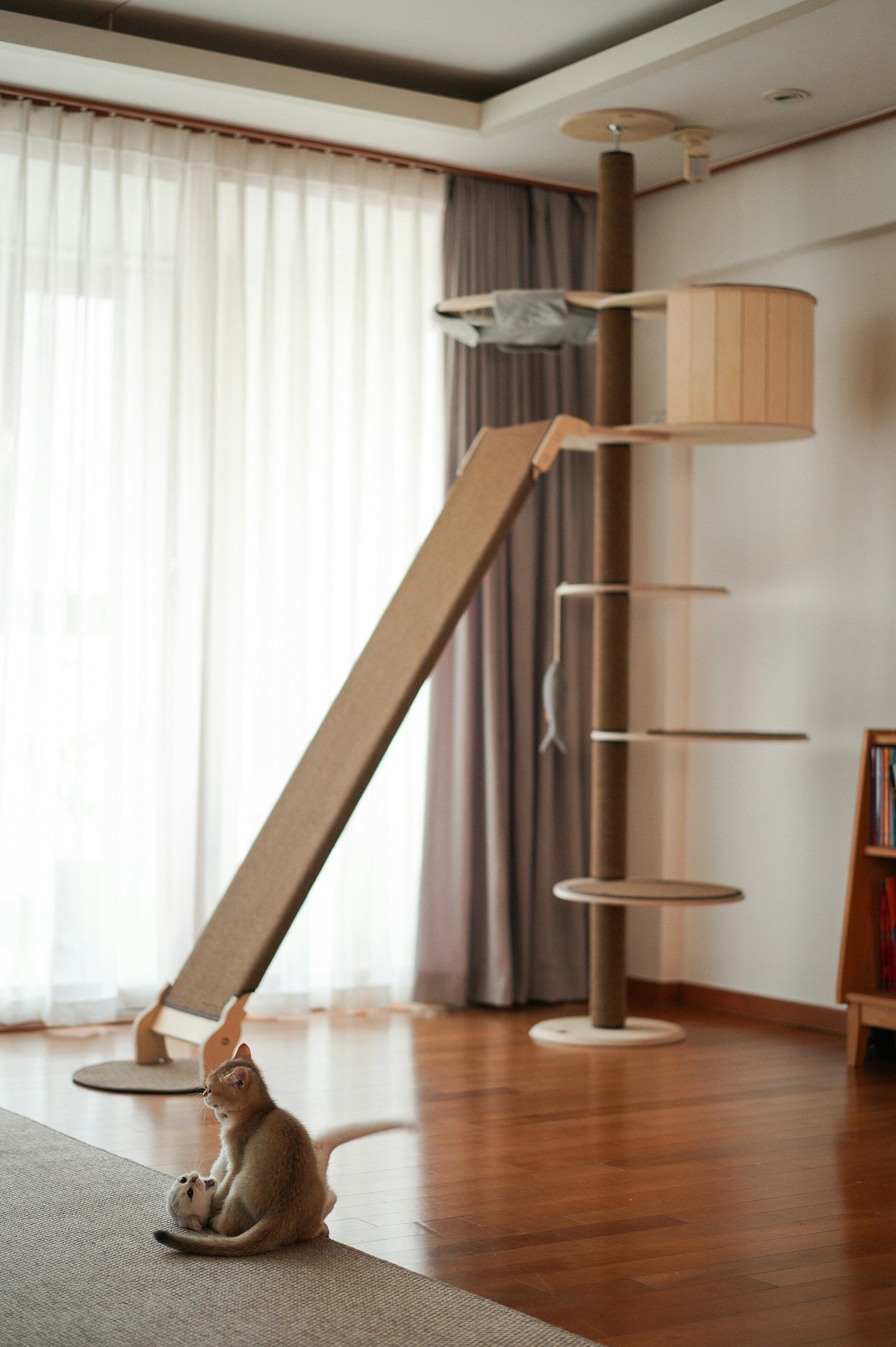 Cat Trees & Catios