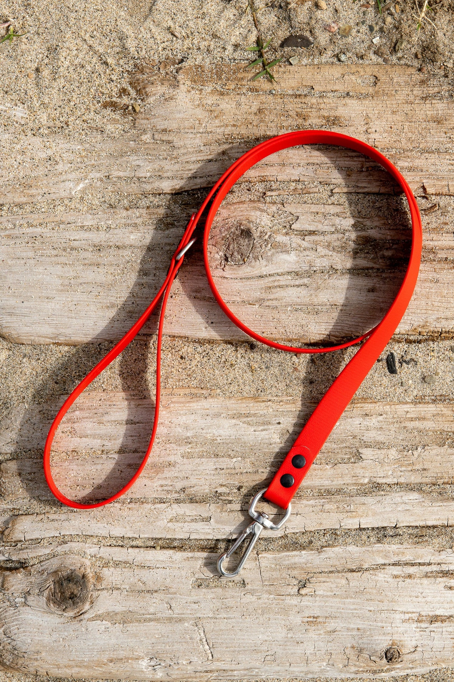Leashes & Harnesses