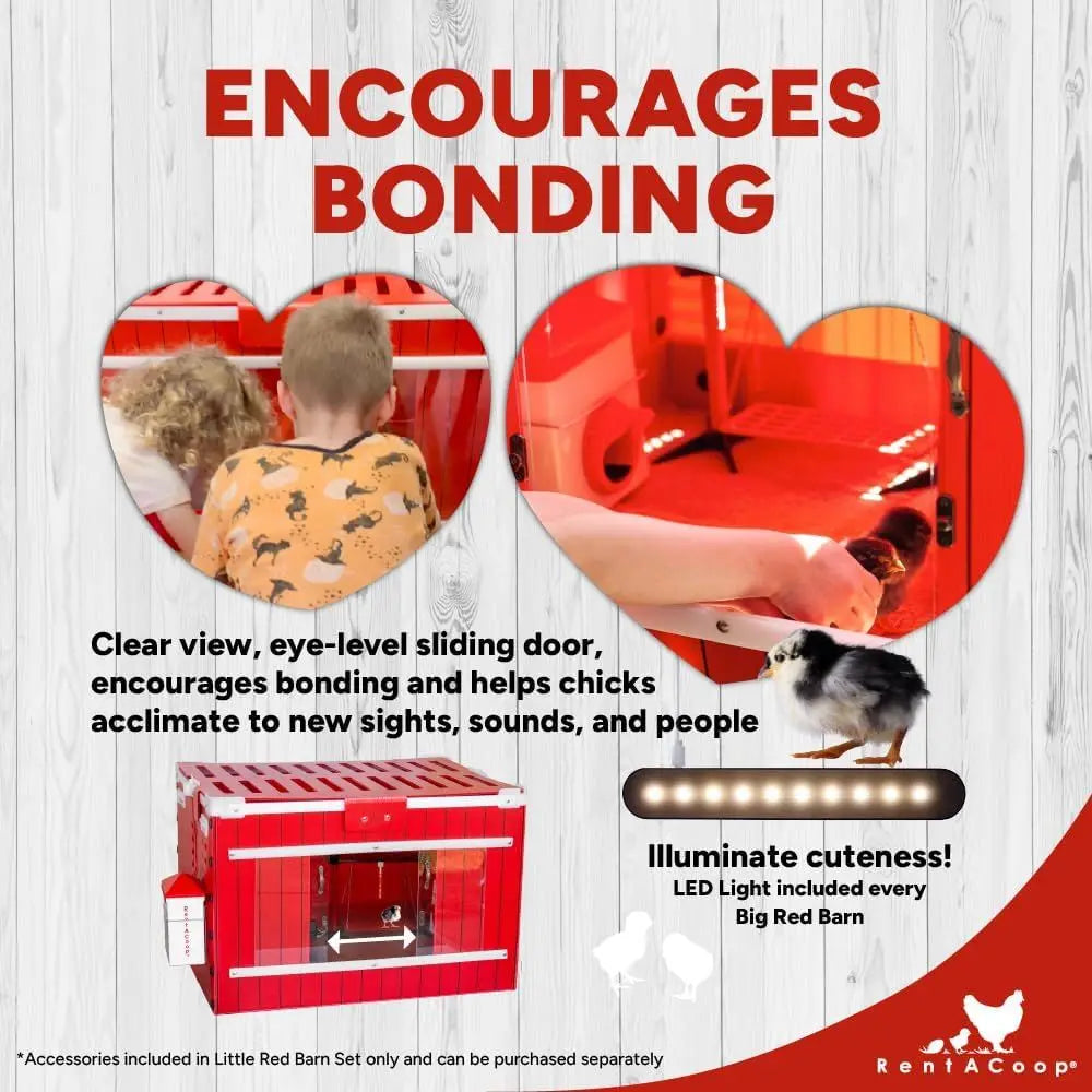 Foldable Chick Brooder With Easy Clean Liners For Indoor Use
