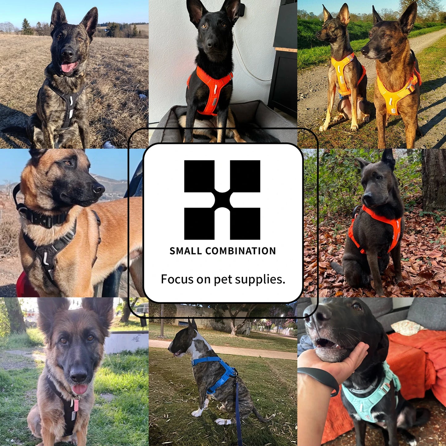 Small Combination Reflective No Pull Nylon Dog Harness