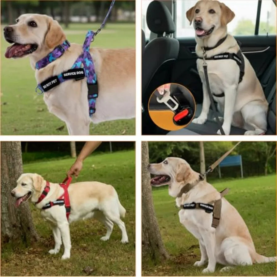 No Pull Dog Harness And Leash Set With Double Handle Car Seatbelt Clip