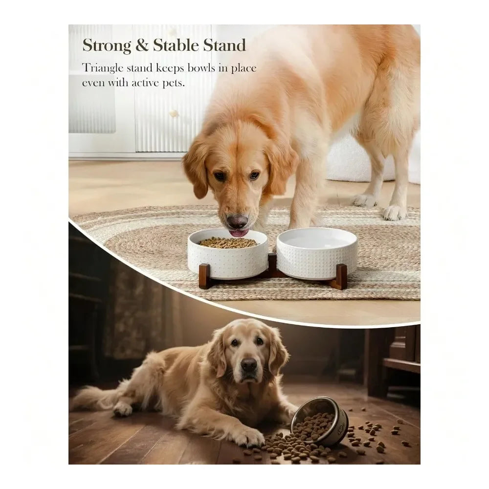 Dog Bowl Set With Walnut Wood Stand Ceramic Pet Bowls
