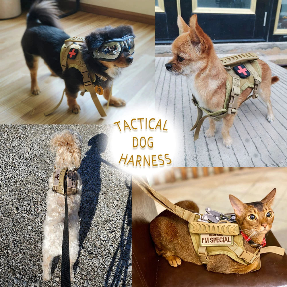 PetTravel Adjustable Tactical Harness and Leash Set for Puppies and Dogs