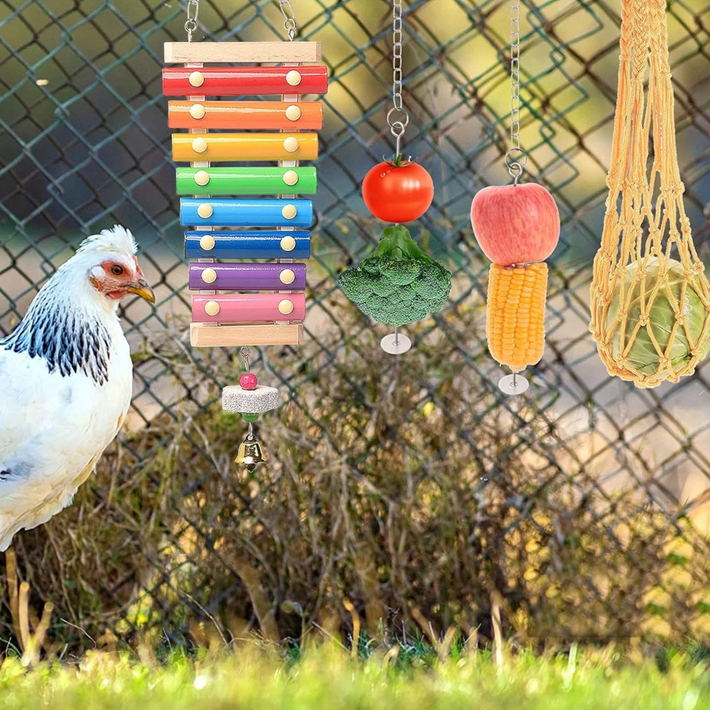 Chewing Foraging Toy With Wooden Hanging Feeder For Budgerigar Parakeet