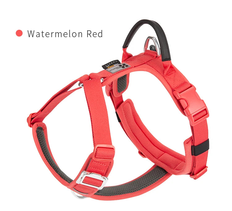 Small Combination Reflective No Pull Nylon Dog Harness