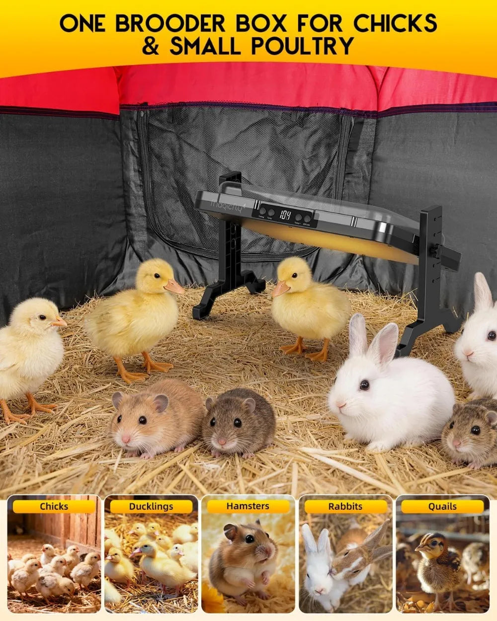 All-In-One Chicken Brooder Kit With Heating Plate Feeder Waterer