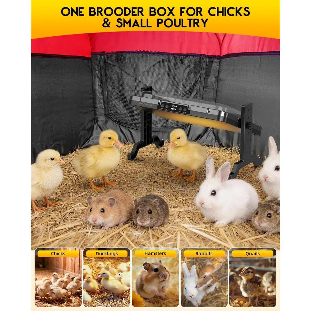 Chick Starter Kit With Heating Plate And Brooder Feeder Waterer