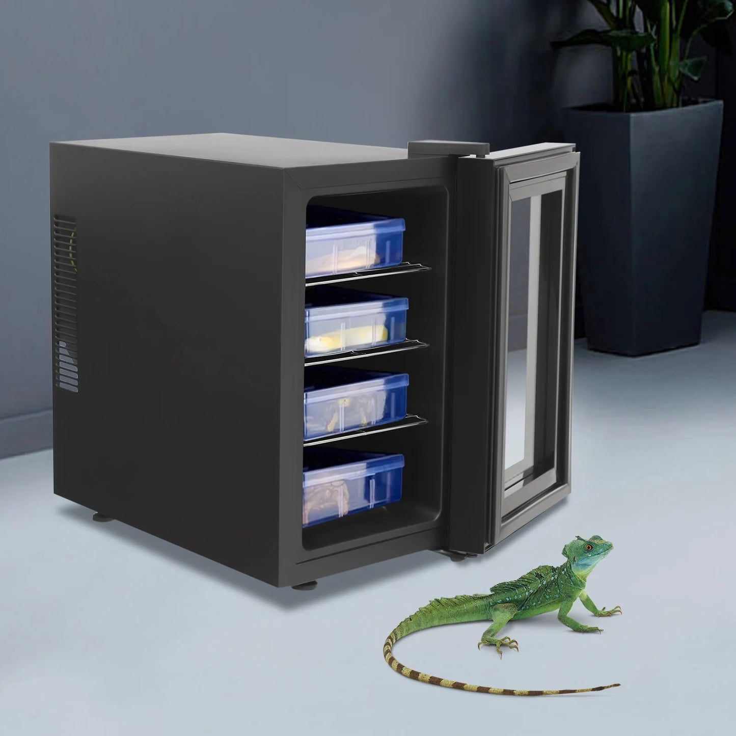 Reptile Incubator With Adjustable Temperature Humidity Control