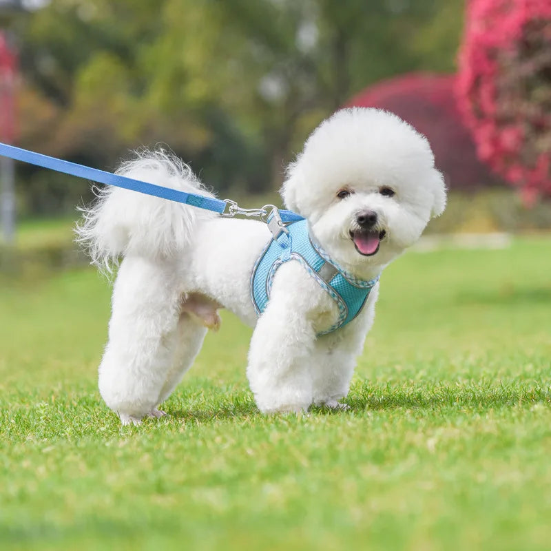 Dog Harness And Leash Set Reflective Adjustable Small Medium Dogs