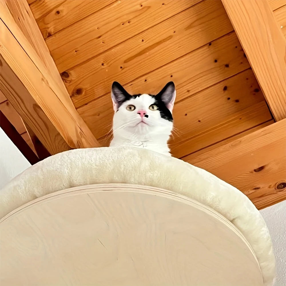 PETRAVEL Cat Wall Mounted Climbing Ladder Hammock Scratching Post