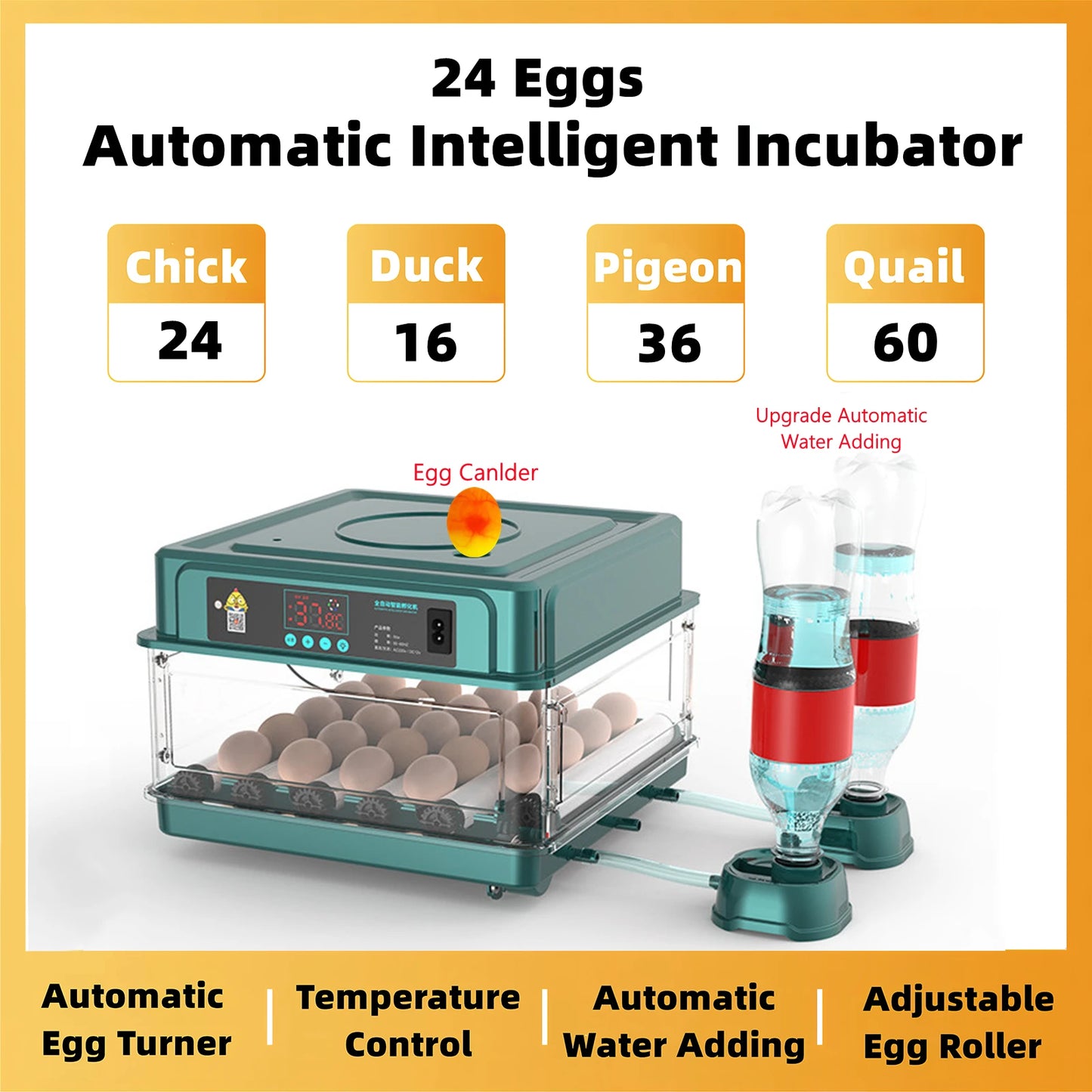 Automatic Egg Incubator 24 To 60 Eggs For Poultry Hatching