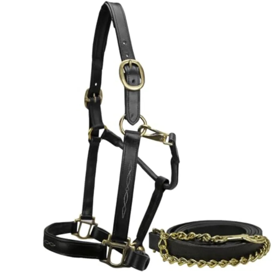 Premium Leather Equestrian Halter And Matching Lead With Padded Comfort