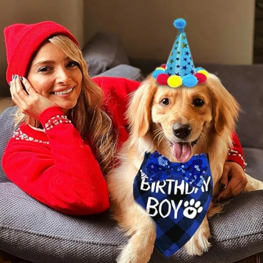 Dog Birthday Party Supplies Set With Hats Banners Balloons Swirls