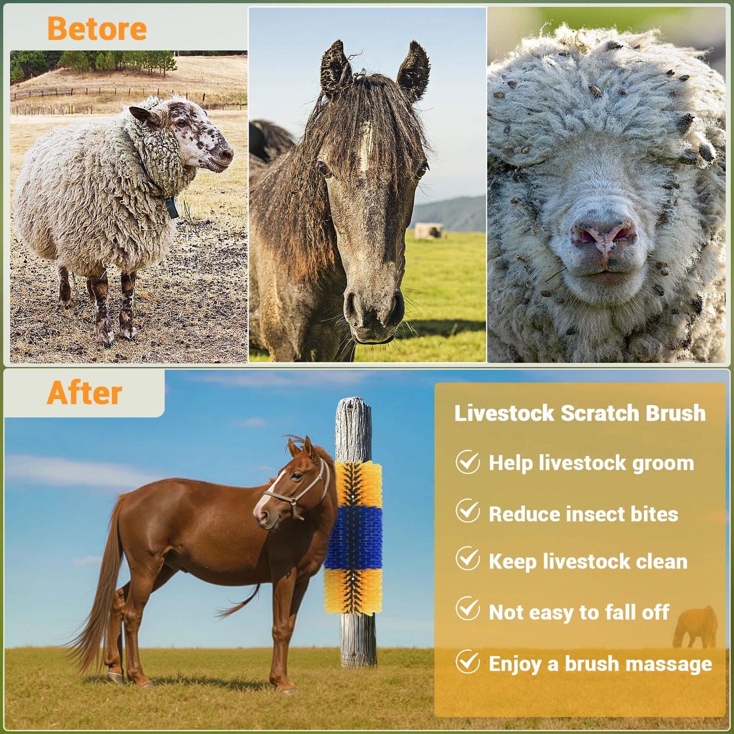 TWISTER.CK Livestock Scratch Brush Kit For Horses Cattle Sheep Pigs