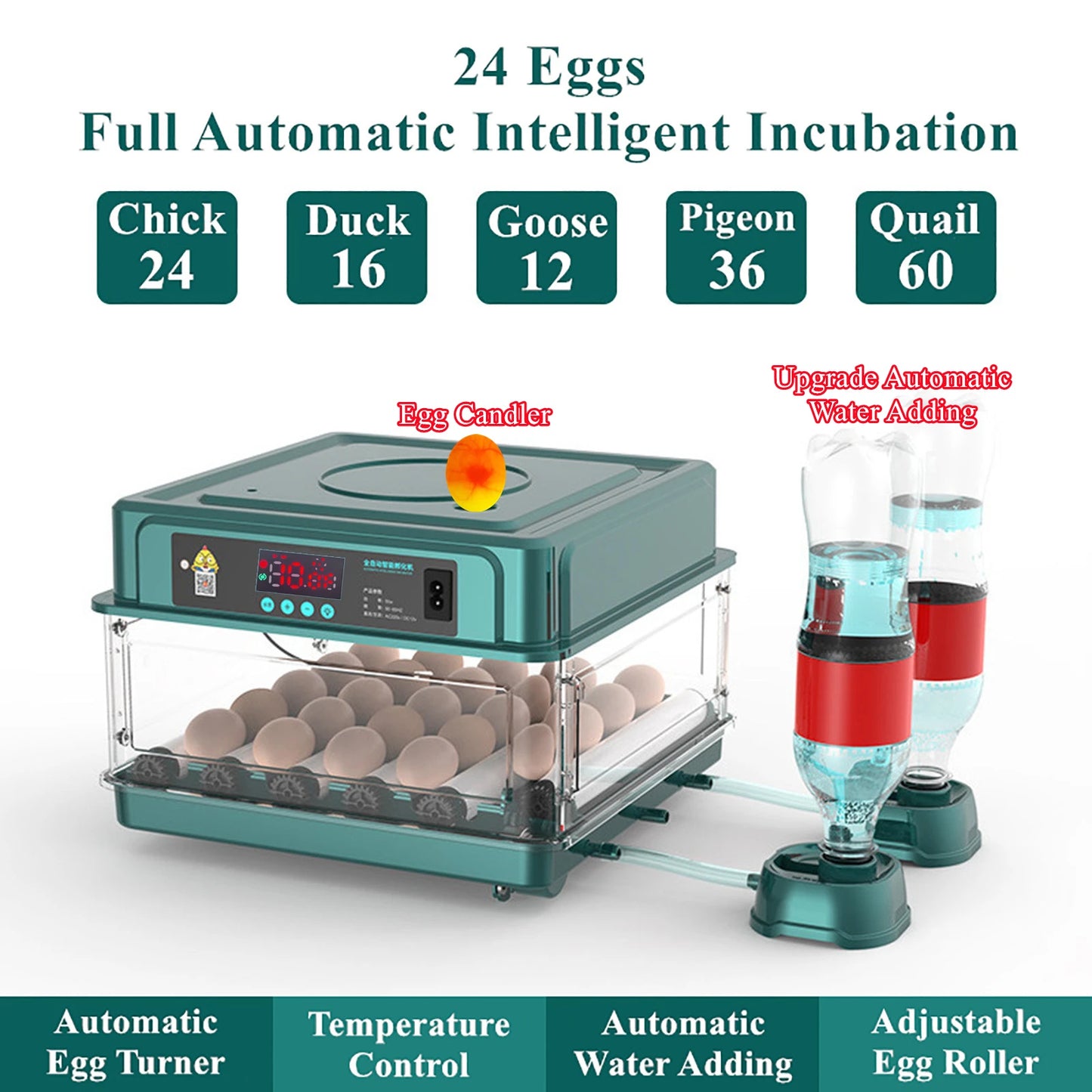 Automatic Egg Incubator 24 To 60 Eggs For Poultry Hatching