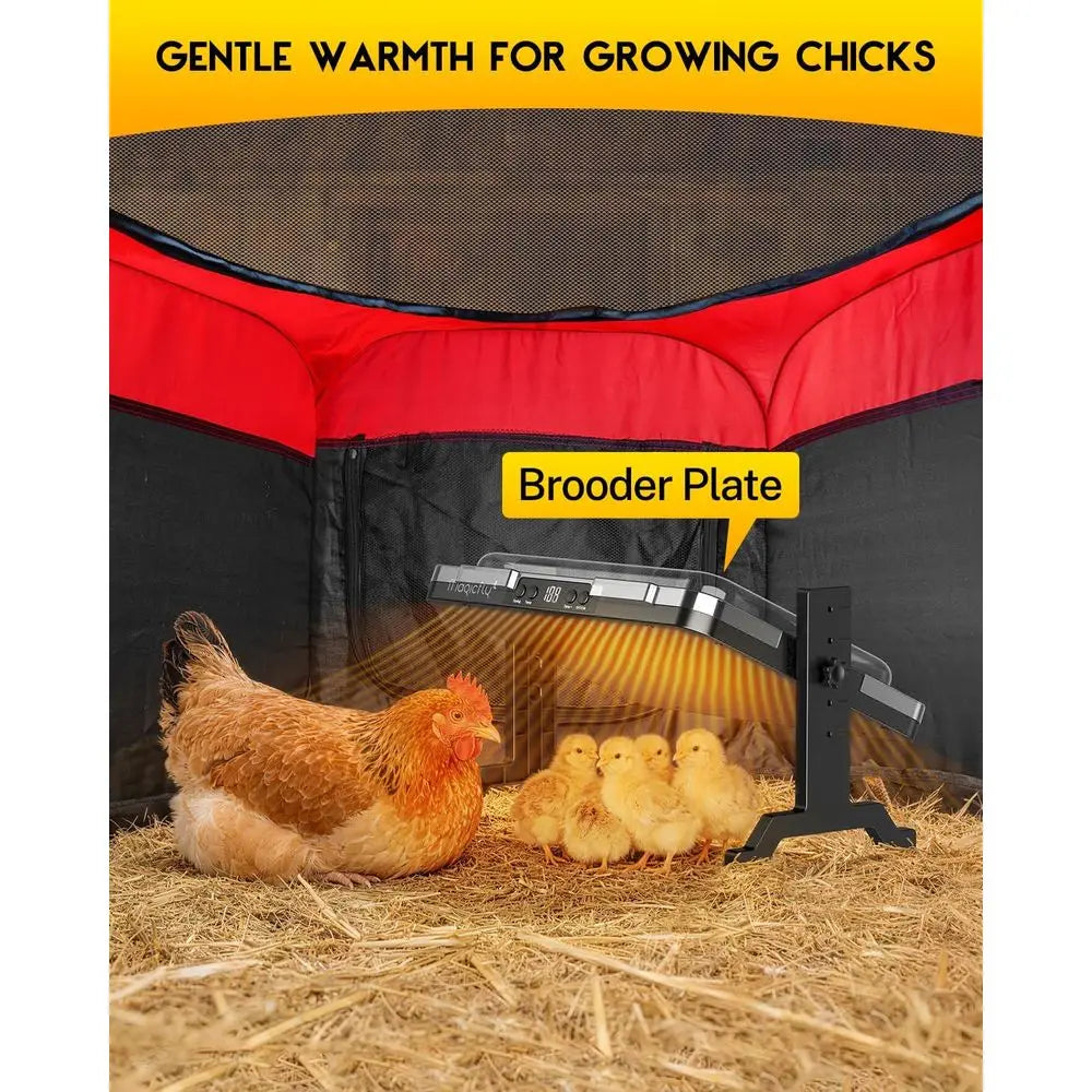 Chick Starter Kit With Heating Plate And Brooder Feeder Waterer