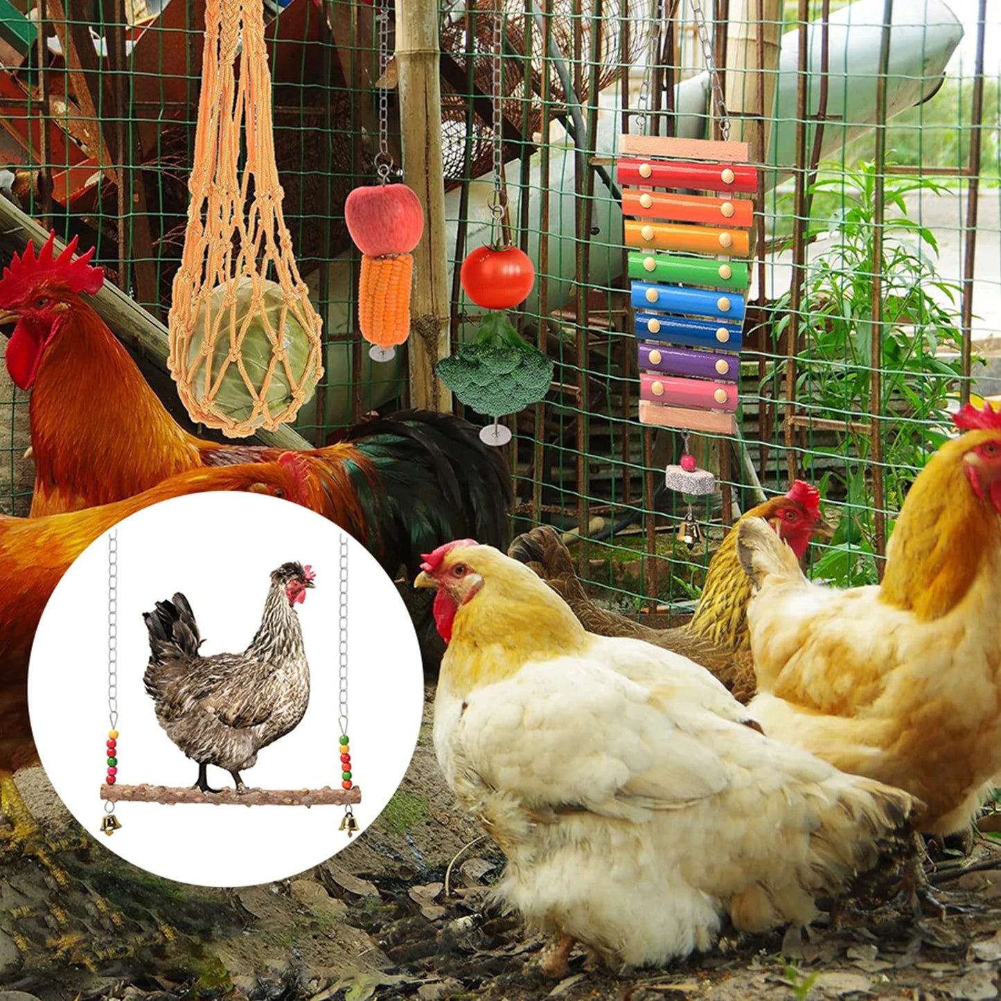 Chewing Foraging Toy With Wooden Hanging Feeder For Budgerigar Parakeet