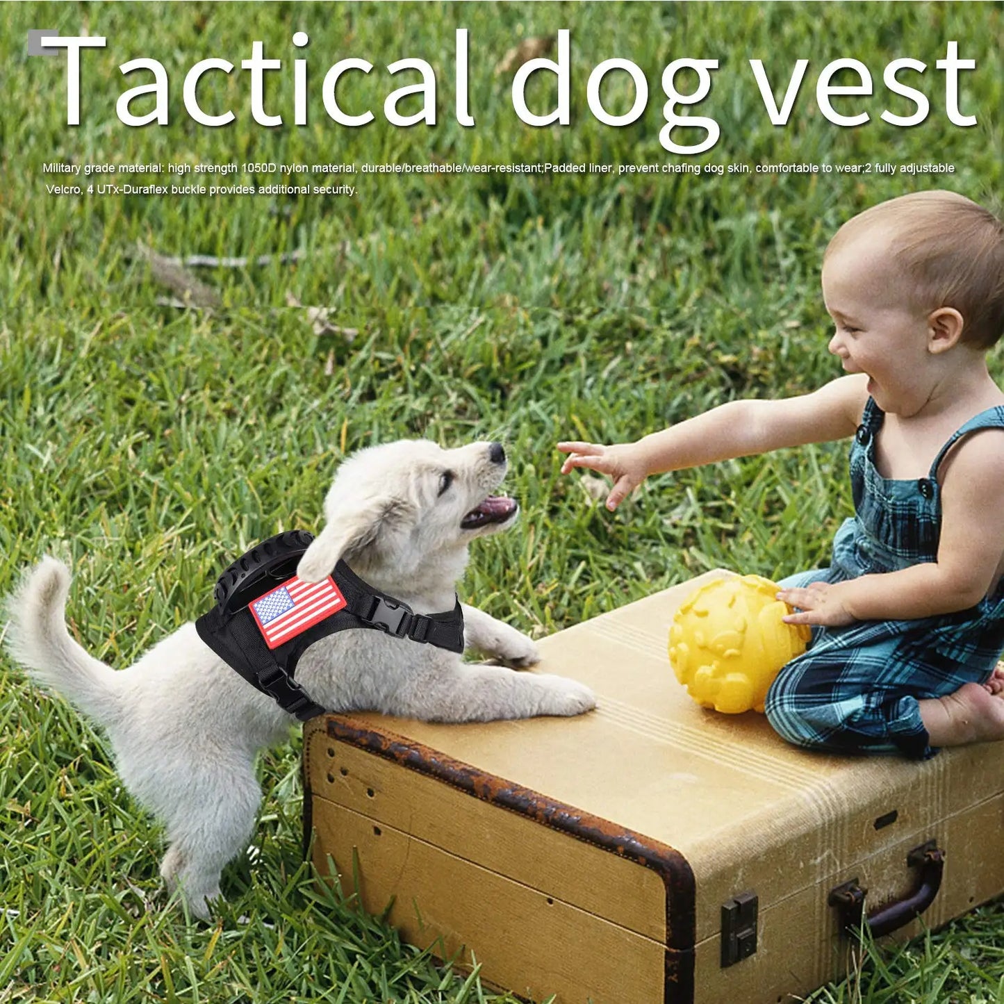 PetTravel Adjustable Tactical Harness and Leash Set for Puppies and Dogs