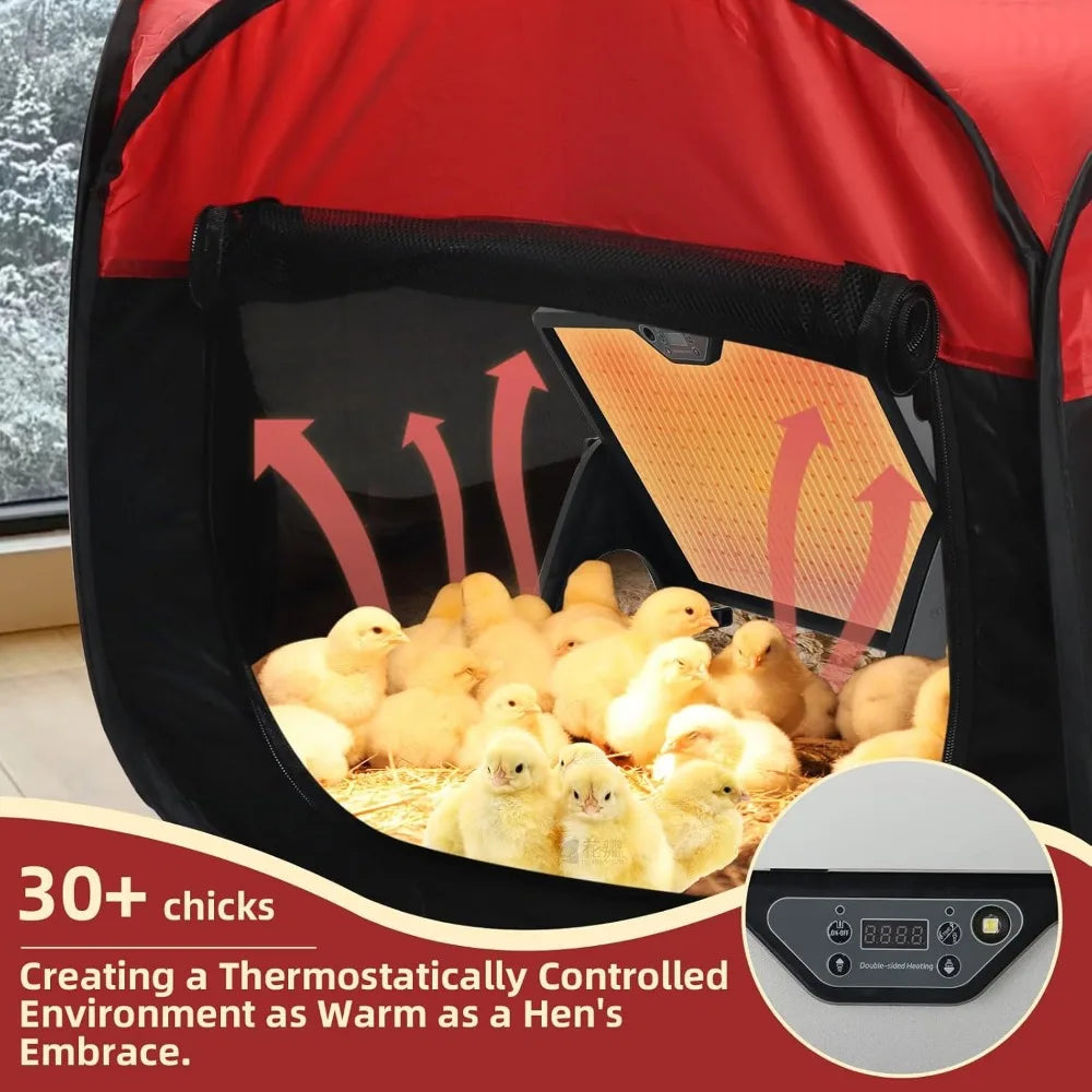 All In One Chicken Brooder With Heating Plate Feeder Waterer