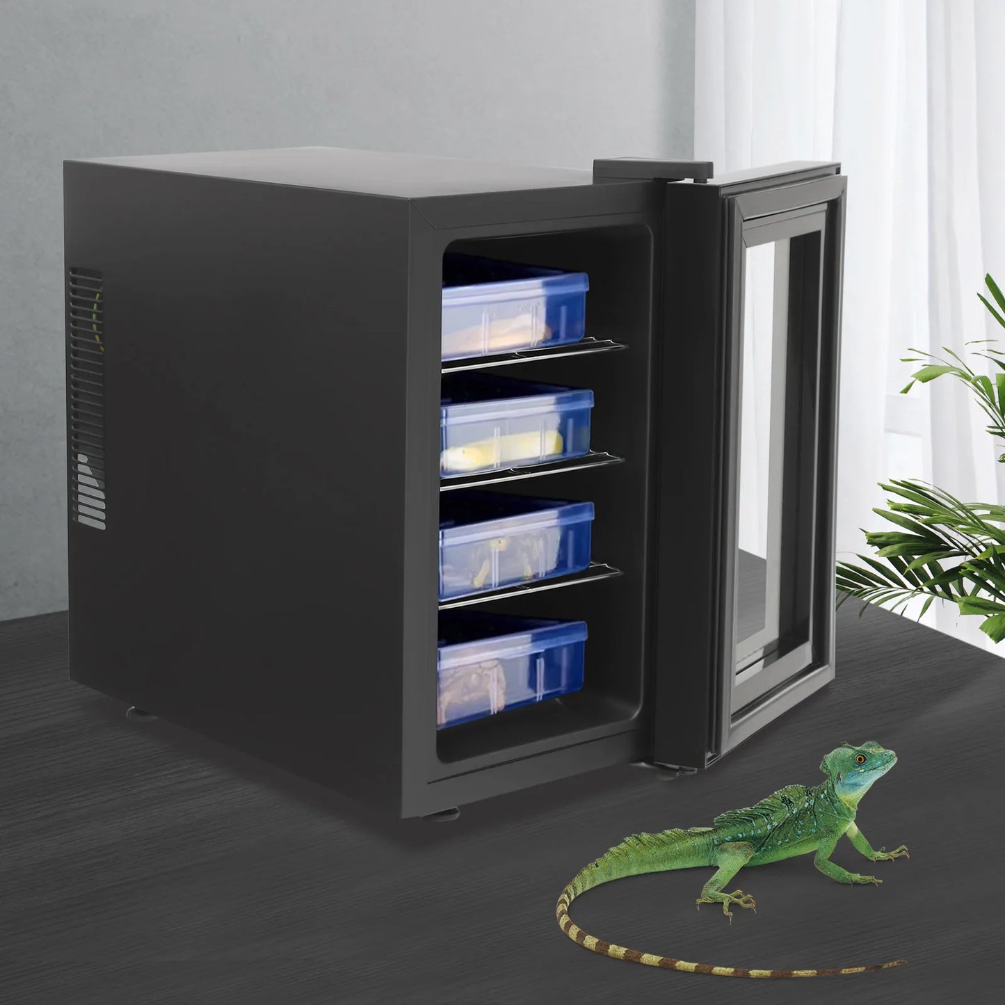 Reptile Incubator With Adjustable Temperature Humidity Control