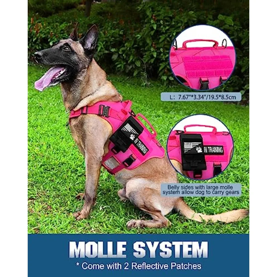 Tactical Dog Harness Service Vest For Large Breed With MOLLE