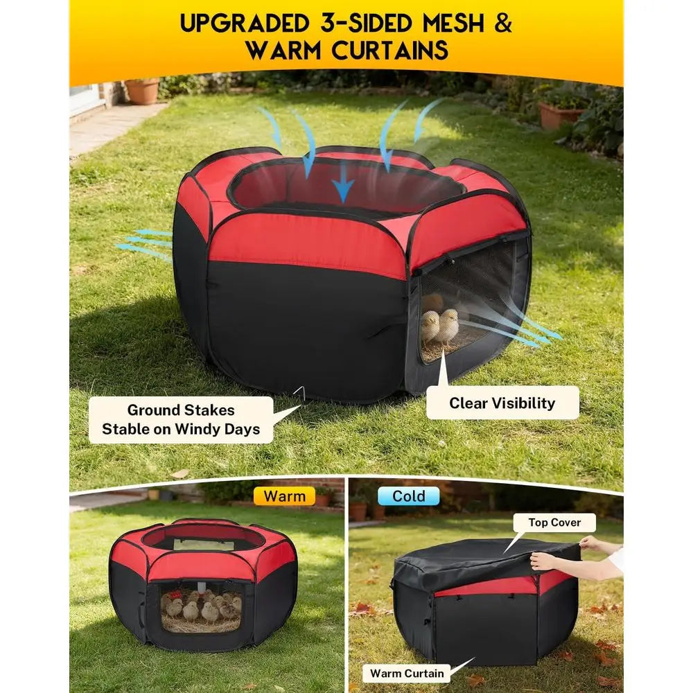 Chick Starter Kit With Heating Plate And Brooder Feeder Waterer