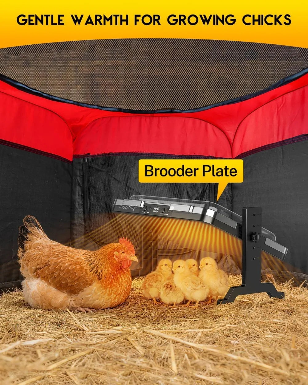 All-In-One Chicken Brooder Kit With Heating Plate Feeder Waterer