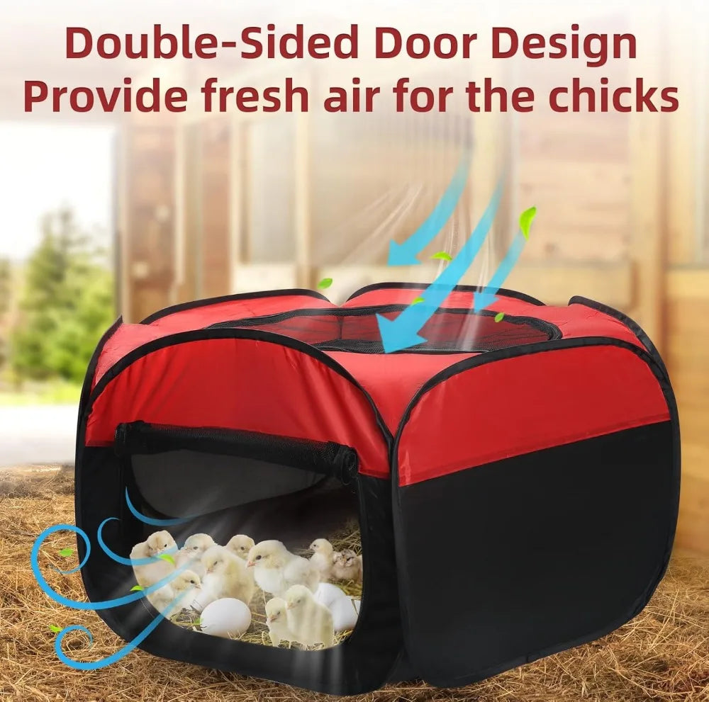 All In One Chicken Brooder With Heating Plate Feeder Waterer