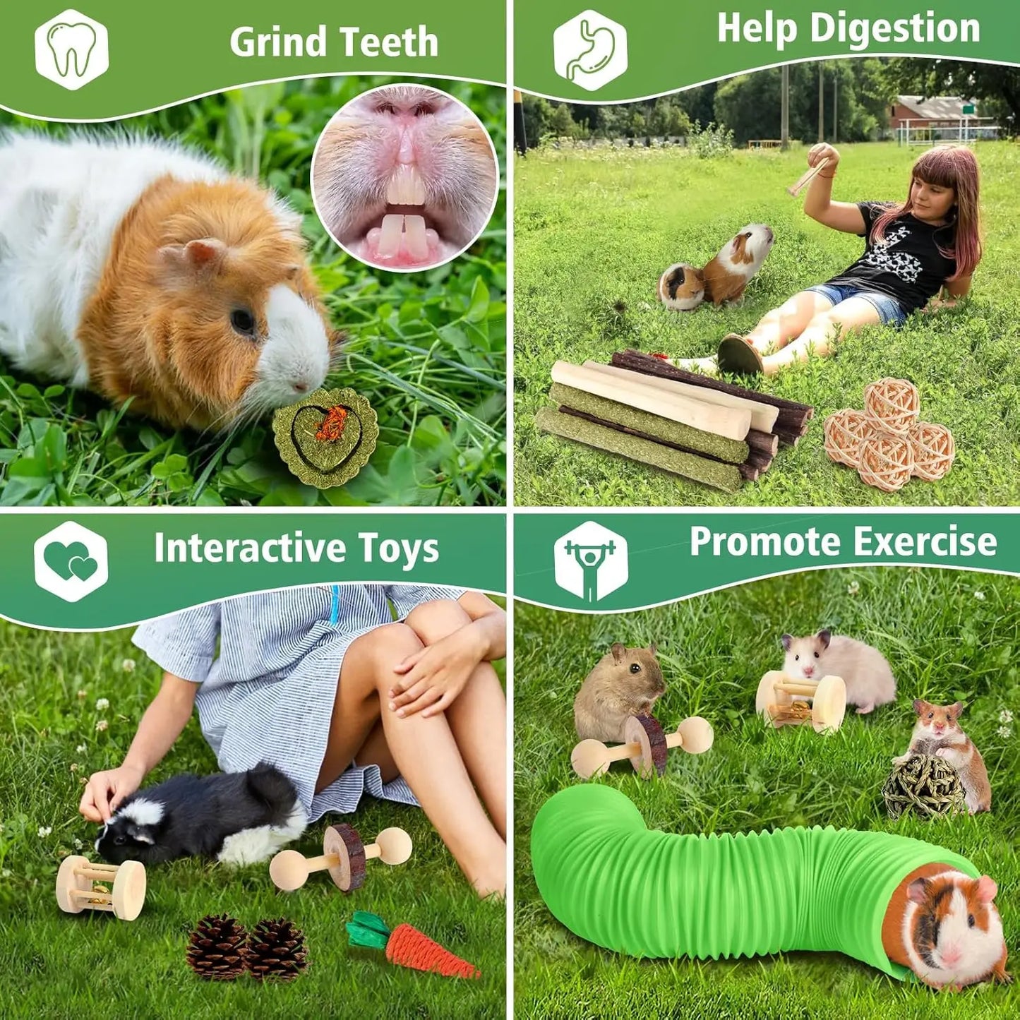 Hamster Guinea Pig Toys Set Tunnel Dental Chewable Wood Hay