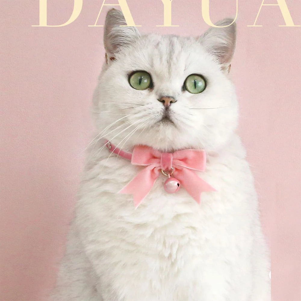 Cute Cats Kitten Lace Bow Collar With Pearl Pendant Jewelry