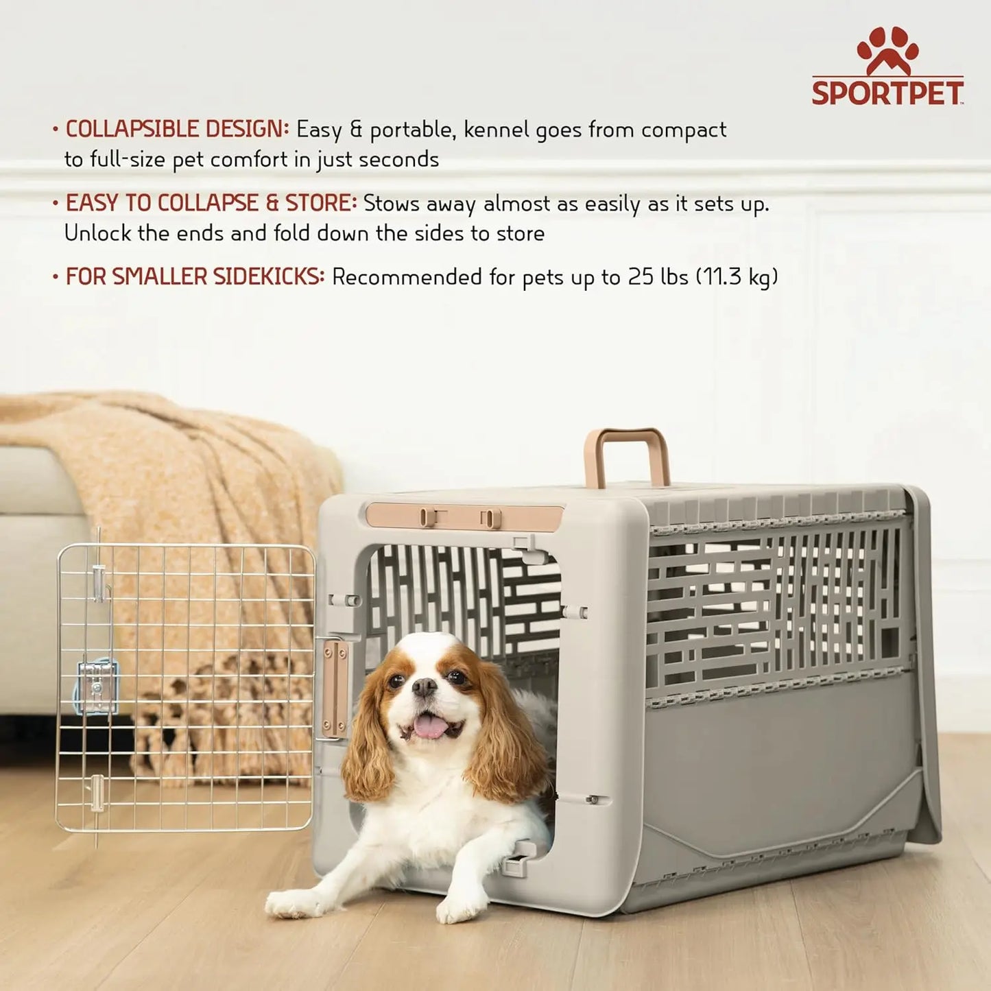 Collapsible Hard Sided Pet Travel Carrier For Dogs And Cats