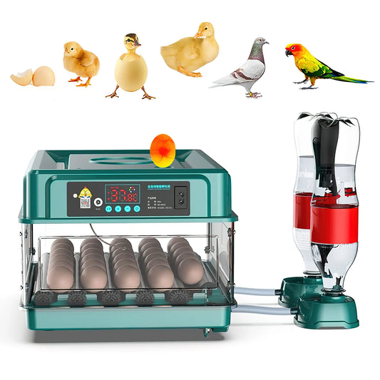 Automatic Egg Incubator 24 To 60 Eggs For Poultry Hatching