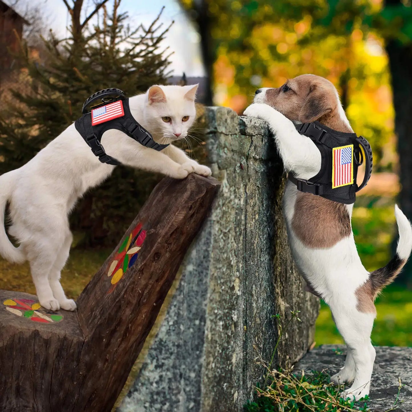 PetTravel Adjustable Tactical Harness and Leash Set for Puppies and Dogs